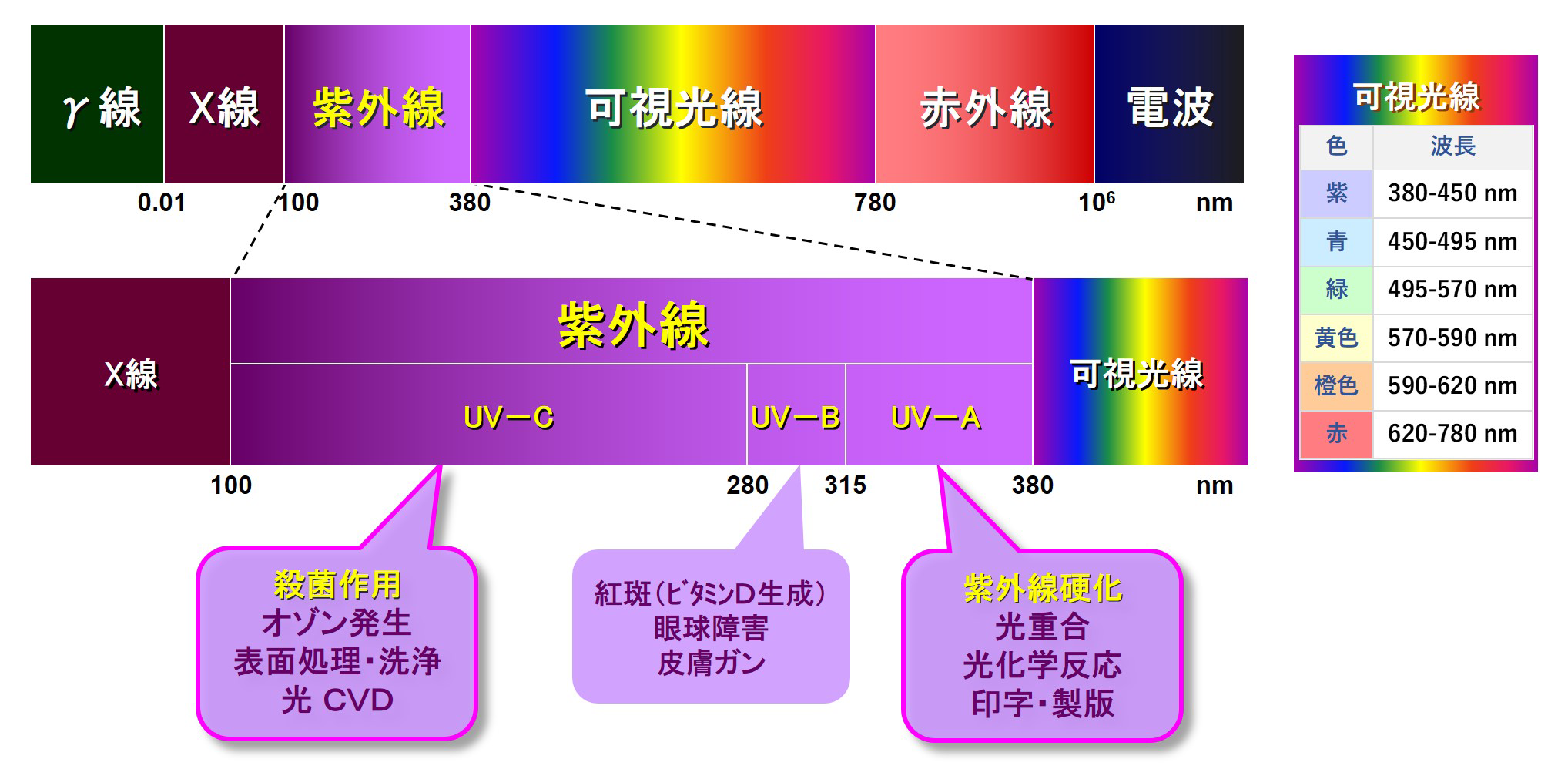 UV(紫外線)とは